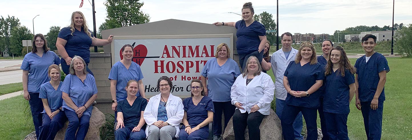 Animal Hospital of Howard | Green Bay veterinarians